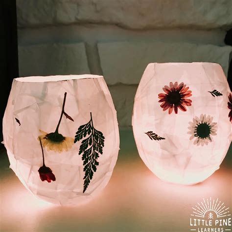 Magical Pressed Flower Lanterns Little Pine Learners