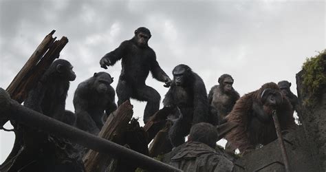 dawn of the planet of the apes weta digital interview · 3dtotal · learn create share