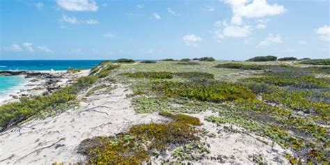 Beaches Of Salt Cay Visit Turks And Caicos Islands