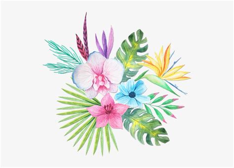 Tropical Watercolor Png Clip Art Transparent Tropical Watercolour