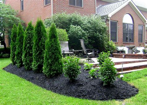 Privacy Planting Landscaping Around Patio Privacy Landscaping