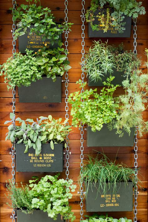 The 50 Best Vertical Garden Ideas And Designs For 2022