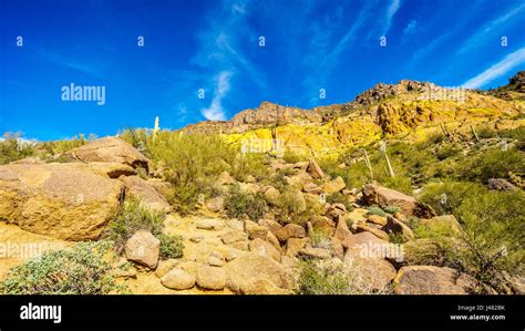 Colorful Yellow And Orange Geological Layers Of Usery Mountain