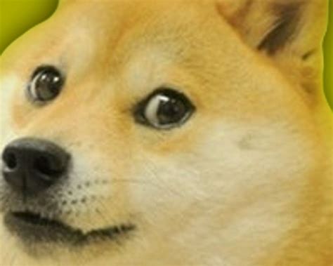 Find meme wallpapers hd for desktop computer. Doge Meme Wallpapers - Wallpaper Cave