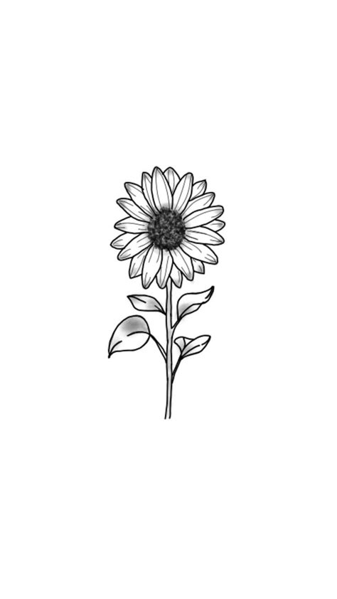 Line art flower band tattoo drawing. GIRASSOL DA MY | Sunflower drawing