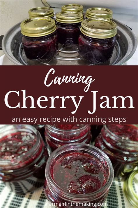 Cherry Jelly Recipes Fruit Jam Recipes Canning Jam Recipes Pressure