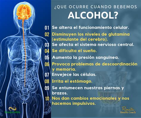Como Afecta El Alcohol Al Cerebro Conami