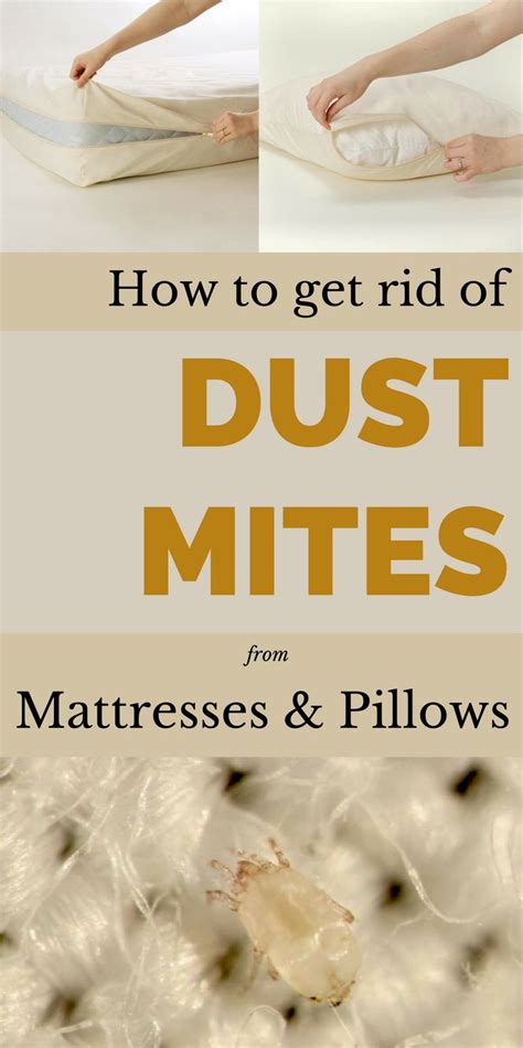 This Is The Best Method To Get Rid Of Dust Mites From Mattresses And