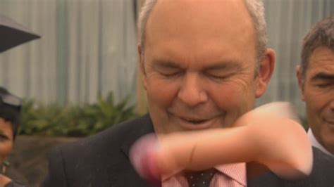 Why Steven Joyce Is About To Be Shot In The Face The Daily Blog
