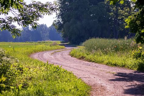 Gravel Path In The Farmstead Stock Image Image Of Lawn Countryside 250279247