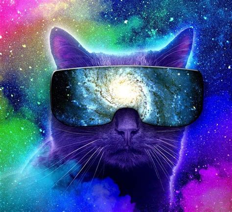 12 Best Space Cats Images On Pinterest Space Cat Cats And Kitty Cats