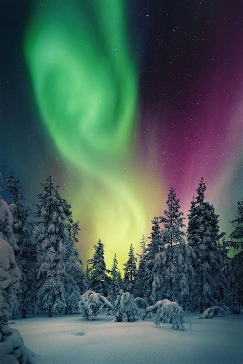 Photo Lapland Northern Lights Impression Pigmentaire édition Aurore