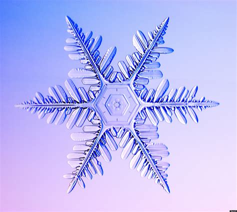 Incredible Close Up Snowflake Photography Pictures Huffpost Uk