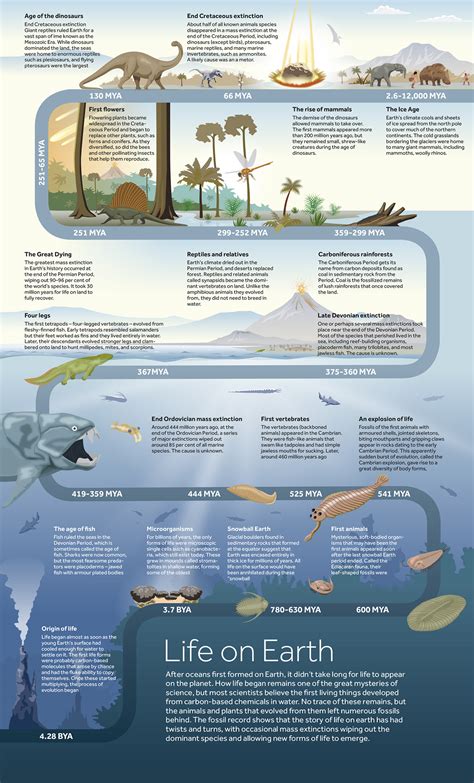 History Of Earth Infographic