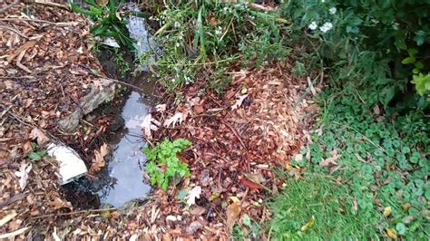 Maybe you would like to learn more about one of these? Sump pump water use in garden - Pittsburgh permaculture ...