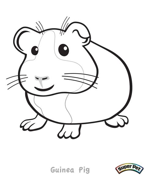 Free printable guinea pig coloring pages for kids that you can print out and color. Guinea Pig Coloring Pages - Coloring Home