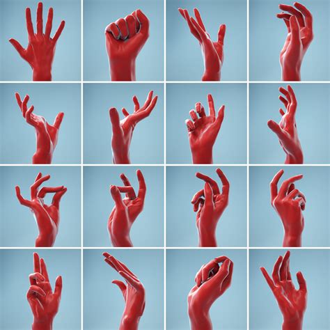 13 Female Hands Posed 3d Model Collection Hand Pose Hand Reference Hand Drawing Reference