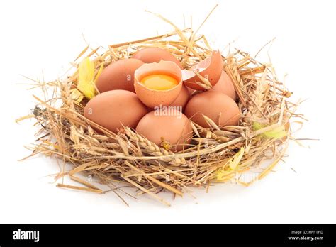 Chicken Eggs In Nest Of Straw Isolated On White Background Stock Photo