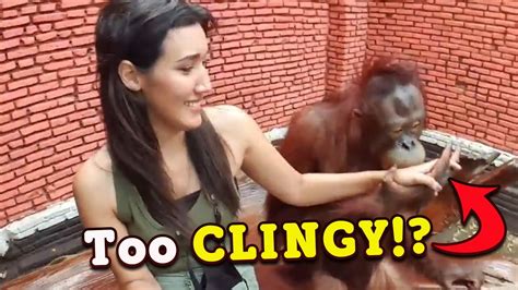 15 Animals Acting Like Humans 🐶🐱 Youtube