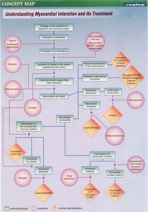 Hesi Case Studies Concept Map Nursing School Survival Nursing Study Guide