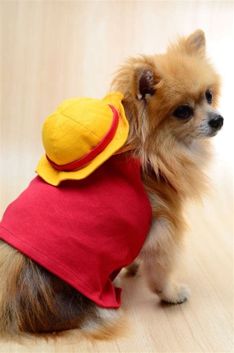 Luffy One Piece Dog Clothing By Hachicorp On Etsy 3500 Pet