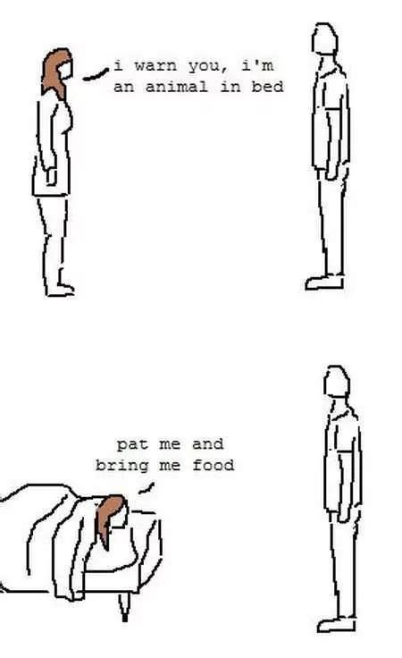 36 Great Funny Pictures
