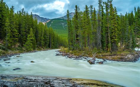 Mountain Forest River Trees Landscape Wallpaper