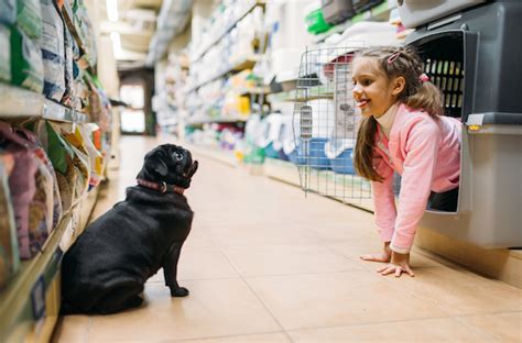 These Are The Best Pet Stores In Nyc And Surrounding Areas Nymetroparents