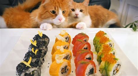 Japanese Chef Makes American Sushi While His Cats Supervise