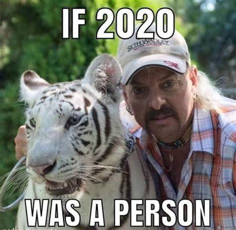 Sex Drugs And Big Cats Here Are All The Best Tiger King Memes