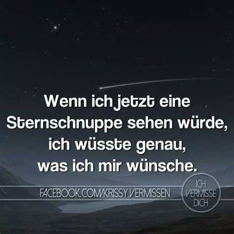 Nachtschwärmer sind in der nacht auf montag voll auf ihre kosten gekommen: ...wenn ich jetzt eine Sternschnuppe sehen würde ...