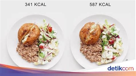 Trik paling utama dalam mengkonsumsi makanan rendah kalori adalah bahan makanannya harus segar. Foto: Boleh Dicontek! Ini Perbandingan Kalori dalam ...