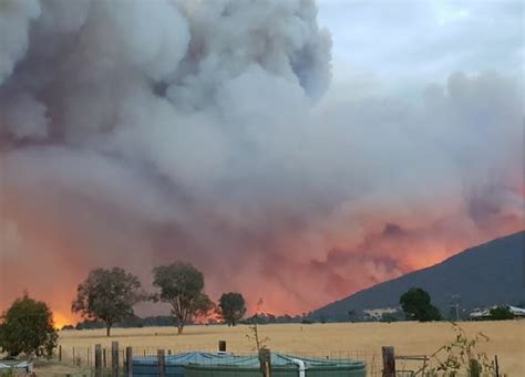 Dalam rentang waktu tersebut hingga kini, kebakaran hutan di. Kebakaran Hutan di Australia Capai Melbourne | Asia Today