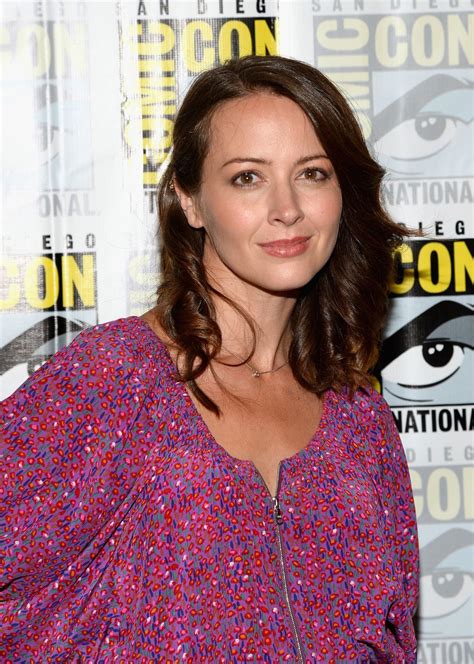Pictures Of Amy Acker