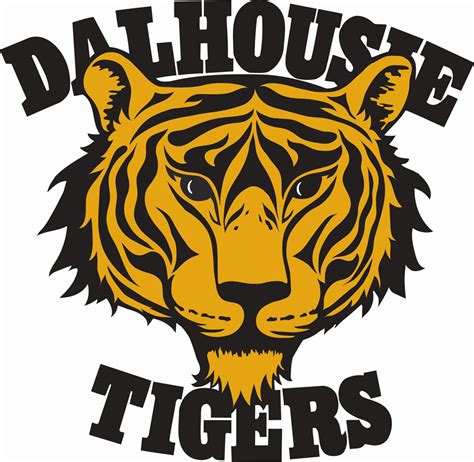 Dalhousie Tigers Primary Logo 1975 Pres A Gold And Black Tiger Head