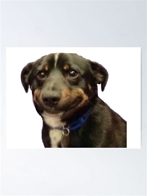 Awkward Dog Smile Meme Poster For Sale By Jennie Jacobs Redbubble