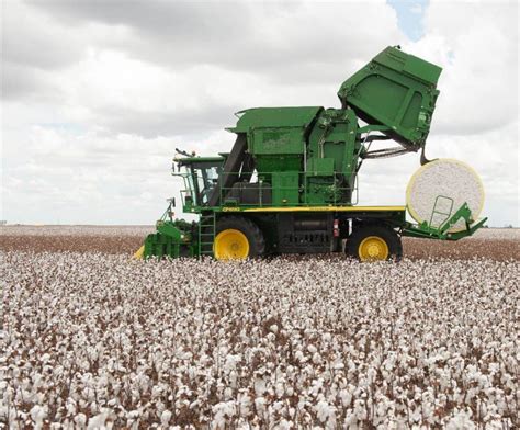 Cotton Harvesting Methods And Cotton Ginning Procedures Cottonworks