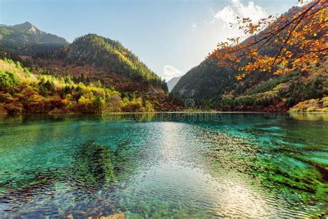 Amazing View Of The Five Flower Lake Among Wooded Mountains Stock Image