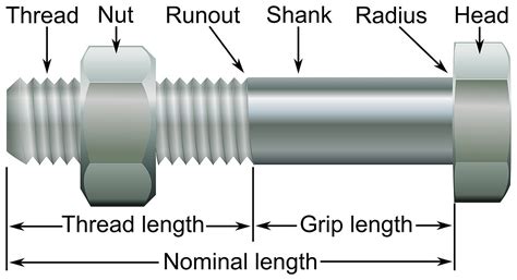 This man saw empires rise and fall, jimmy neutrons forehead, just to work out what's between 2 and 4. Bolt (fastener) - Wikipedia