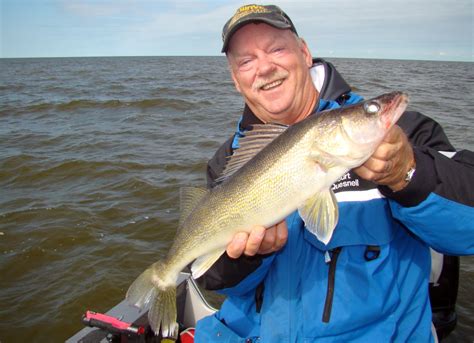 Summer 2019 a big walleye bonanza on Lake of the Woods