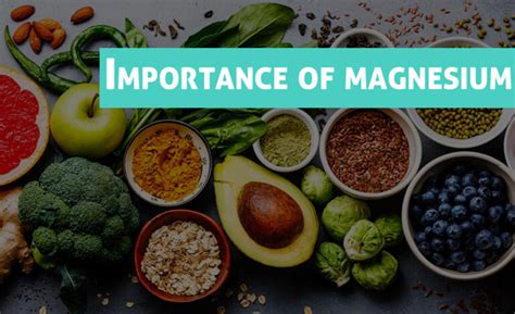 top 15 best magnesium rich foods that are super healthy
