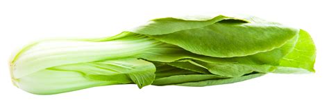 Bok Choy Png Image Purepng Free Transparent Cc0 Png Image Library