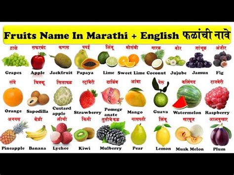We did not find results for: fruits name in english and marathi with pdf | fruits name ...
