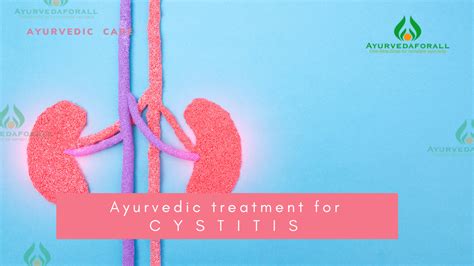 Ayurvedic Treatment For Cystitis