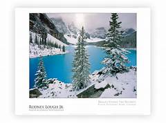 Bangors Natural Wonder Passes On Remembering A Champion Of The Environment