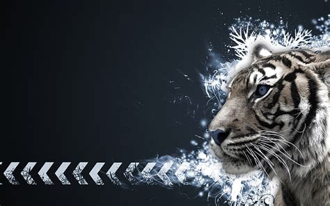 Hd Wallpaper Abstract Background Tiger Wallpaper Flare