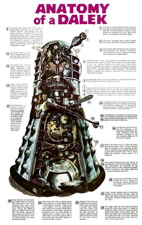 The clavicle (collarbone), the scapula (shoulder blade), and the humerus (upper arm bone) as well as associated muscles, ligaments and tendons. The Translation Circuit: Dalek Psycholinguistics