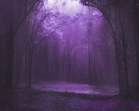 Purple Fae Forest By Artessan On Deviantart