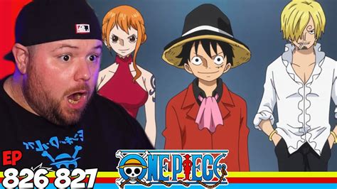 Luffy Meets Bege One Piece Episode 826 And 827 Reaction Youtube