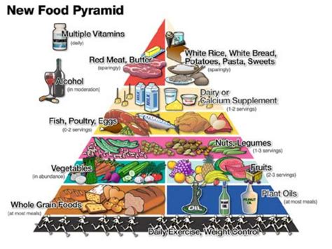 The healthy eating pyramid is intended to provide a more sound eating guide than the widespread food guide pyramid created by the usda. Food Pyramid - Healthy Lifestyle